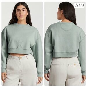 Everlane organic cotton cropped crewneck sweatshirt sage green small